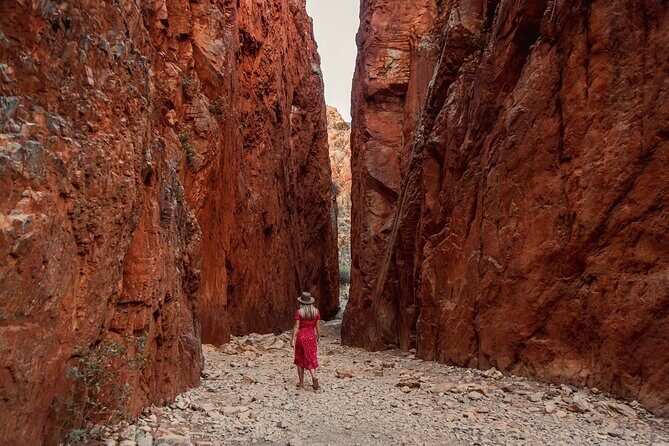 West MacDonnell Ranges & Standley Chasm Day Trip from Alice Springs - Authentic Cultural and Natural Experiences
