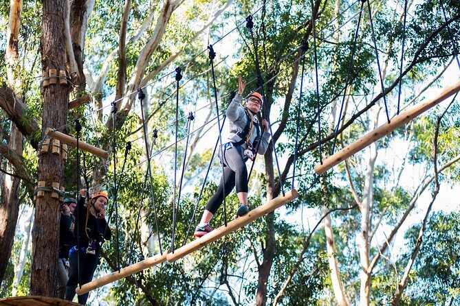 Western Sydney Tree Ropes Course - Final Thoughts: Who Is It Best For?