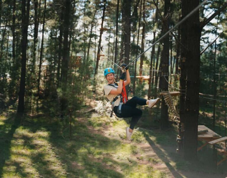 Western Sydney: Tree Ropes Courses - The Challenges: Navigating Over 100 Obstacles