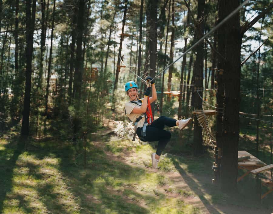 Western Sydney: Tree Ropes Courses - The Challenges: Navigating Over 100 Obstacles