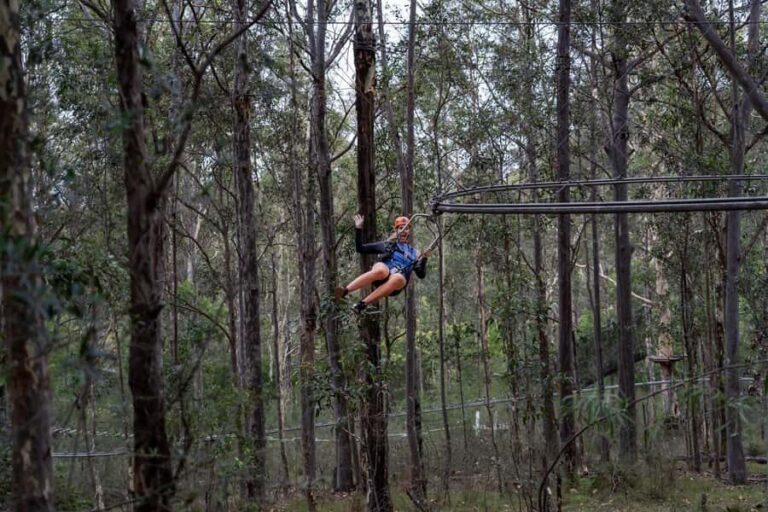 Western Sydney: Zipcoaster Experience - The Ride Experience: What You Can Expect