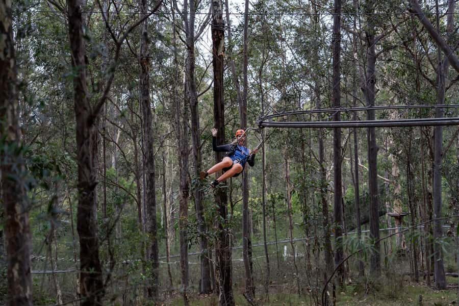 Western Sydney: Zipcoaster Experience - The Ride Experience: What You Can Expect