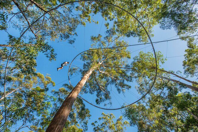 Western Sydney Zipcoaster Experience - The Value of the Experience