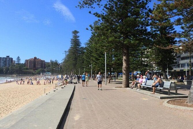 Wet & Dry Manly from Sydney - What Do Travelers Say?
