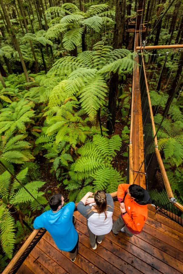 Whakarewarewa Maori Village, Lakes, and Redwoods Forest - Exploring the Lakes and Mount Tarawera