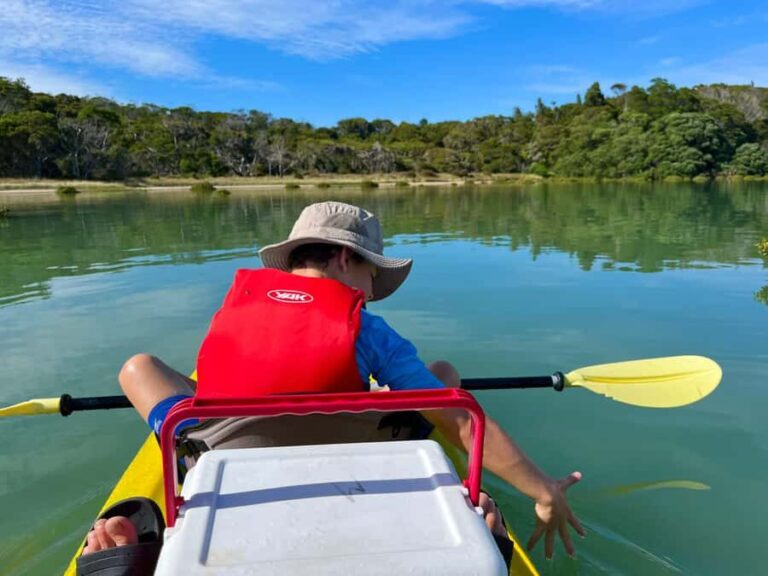 Whakatane: Ohiwa Harbour Guided Kayak Tour - Who This Tour Is Best For
