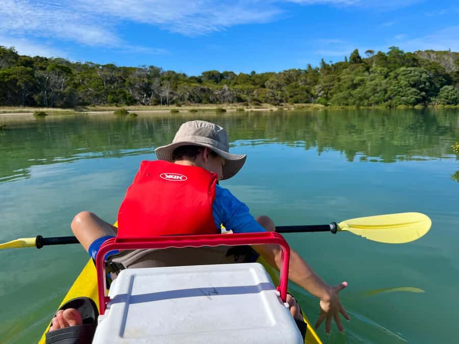Whakatane: Ohiwa Harbour Guided Kayak Tour - Who This Tour Is Best For