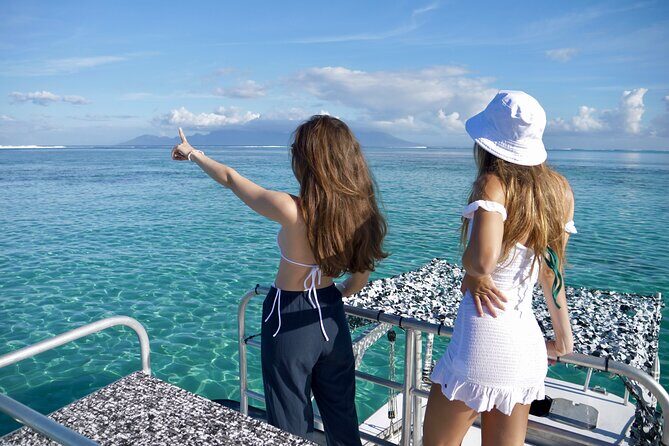 Whale Watching Activity - The Value of the Experience