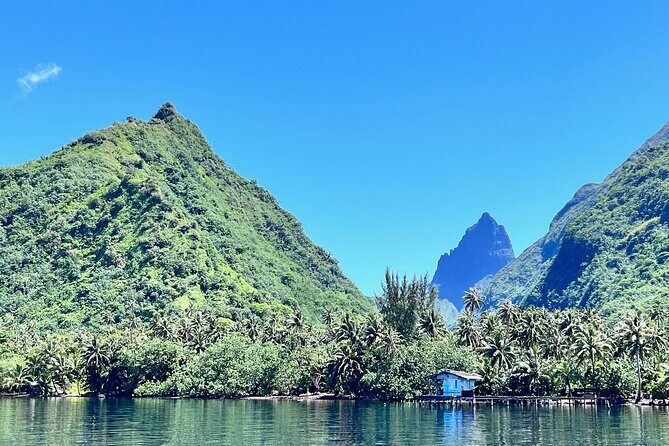 Whale watching DE Tahiti Peninsula - The Itinerary and What You Can Expect