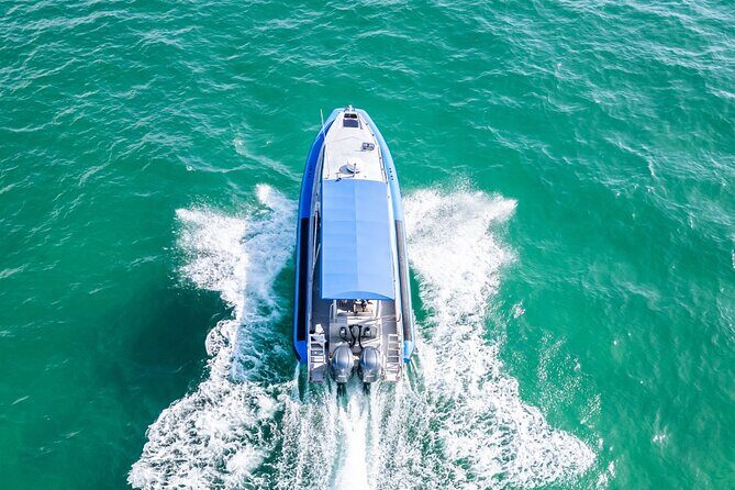 Whale Watching Discovery Tour from Lake Macquarie - What’s Included and What to Expect
