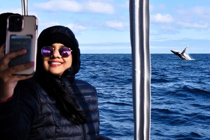 Whale Watching in Augusta Humpback and Southern Right Whales - The Itinerary: What You Will See and Do