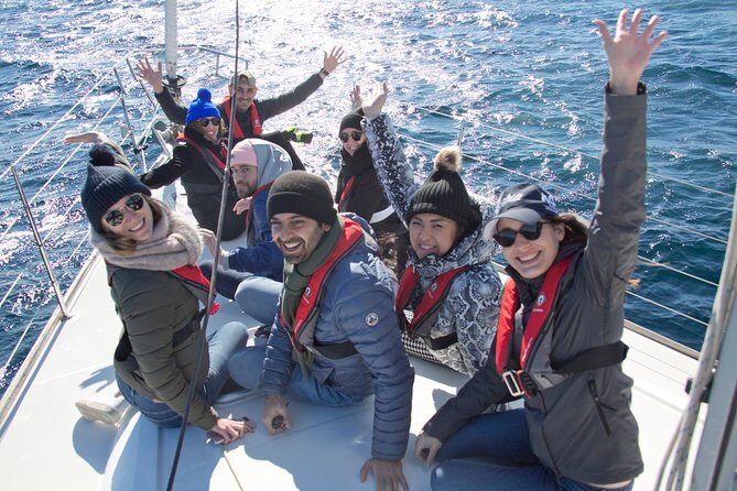 Whale Watching Sailing Experience in Sydney - Value for Money and Practical Considerations