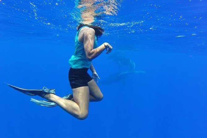 Whale Watching Tours in Bora Bora - FAQ