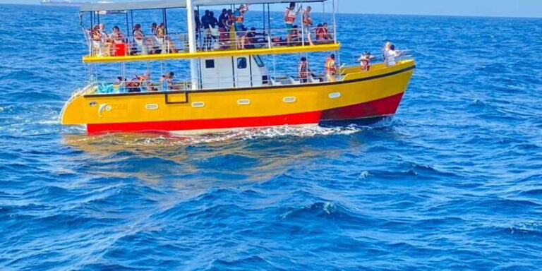 Whales & Dolphin Watching with The Pioneers - The Itinerary: A Day in the Life of a Whale Watching Tour