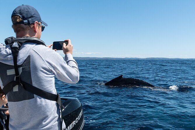 Whales of Sydney Sea Safari - Who Is This Tour Best For?