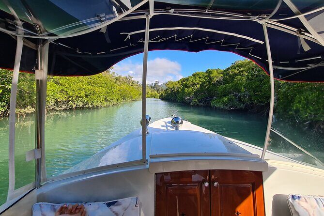 Whisper Cruises - One-Hour Turtle Spotting Bay Cruise - Final Thoughts: Who Will Love This Tour?