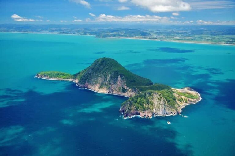 White Island & Whale Island 1-Hour Volcano Scenic Flight - Why This Flight Offers Great Value
