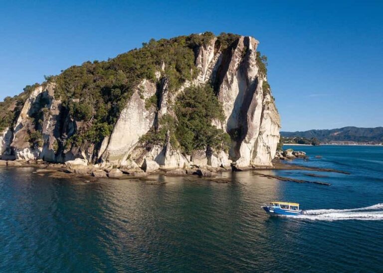 Whitianga: 2-Hour Glass Bottom Boat Cathedral Cove Tour - Why This Tour Offers Great Value