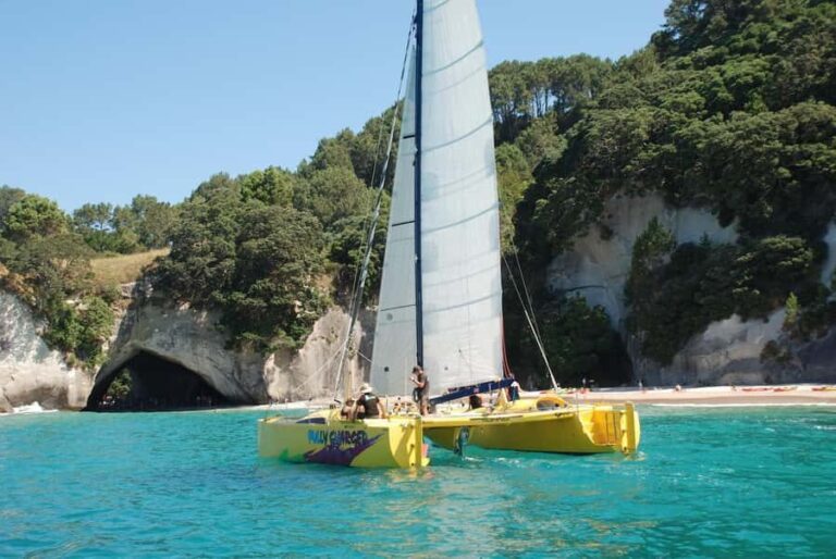 Whitianga: Sailing Trip to Cathedral Cove - The Sailing Itself: Get Involved or Relax