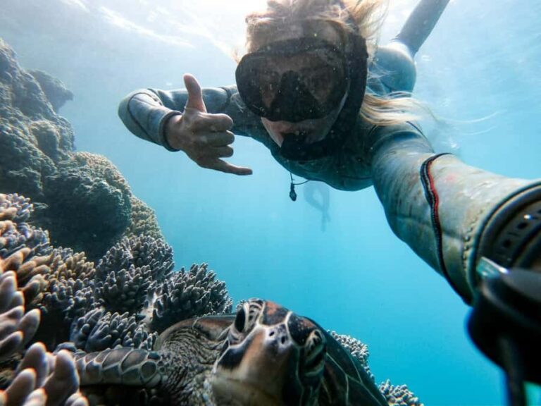 Whitsundays: 2-Day, 2-Night Maxi Yacht Sailing Adventure - Day 1: Sunset and Starry Nights