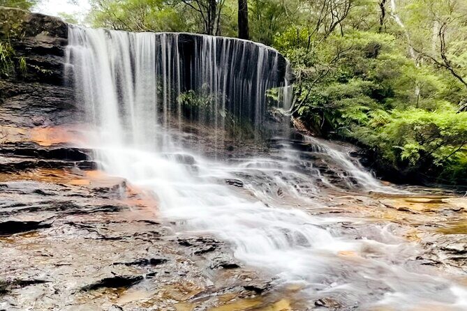 Wild Kangaroos, Blue Mountains and a Cruise - FAQs