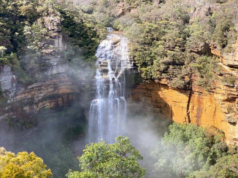 Wild Kangaroos & Blue Mountains private tour - What You Can Expect: An Inside Look at the Itinerary