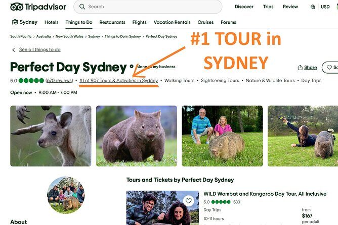 WILD Wombat and Kangaroo Day Tour, All Inclusive - Transportation and Duration