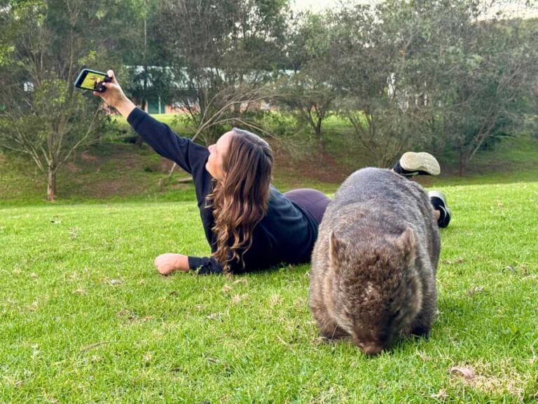 WILD Wombats and Kangaroo Experience, All Inclusive, Sydney - What to Expect From Each Stop