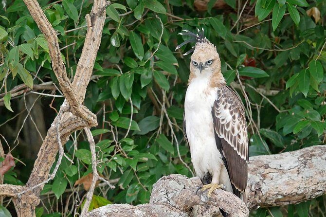 Wilpattu National Park Private Full Day Tour From Colombo - Why This Tour Offers Great Value