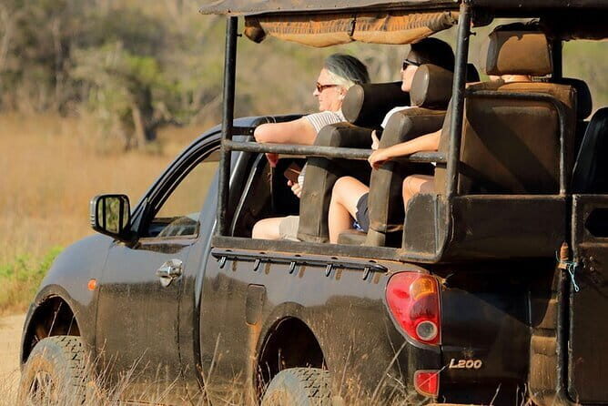 Wilpattu National Park Safari, Budget Tour from Colombo - A Detailed Look at the Wilpattu Safari Experience