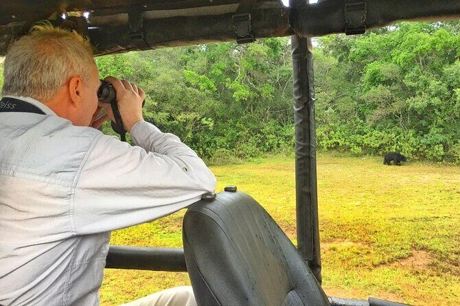 Wilpattu Wild Safari Day Trip - Private & All Inclusive - Who Should Consider This Safari?