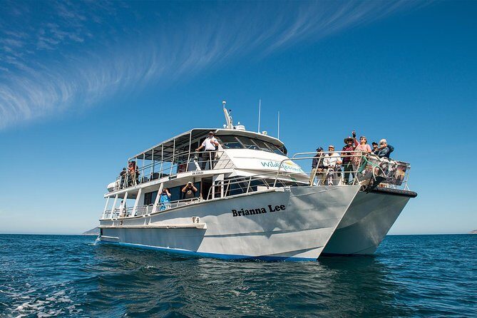 Wilsons Prom Whale Cruise - Who Should Consider This Tour?