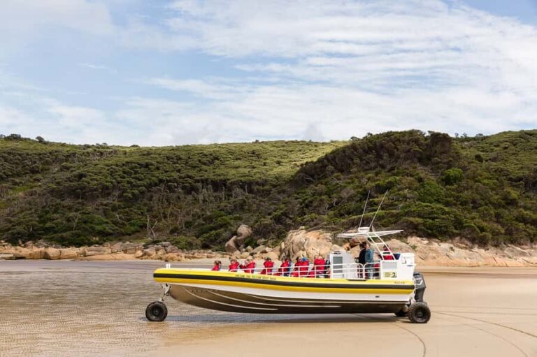 Wilsons Promontory: Afternoon Wilderness Cruise - Why This Tour Works for Travelers