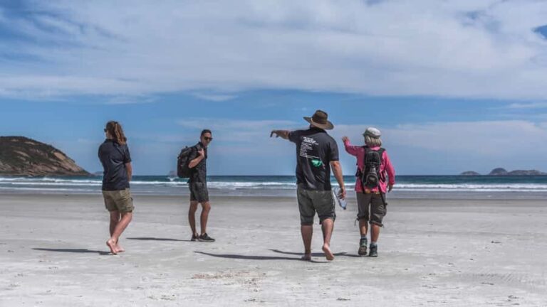 Wilsons Promontory National Park Full-Day Eco Tour - Itinerary Breakdown and What to Expect