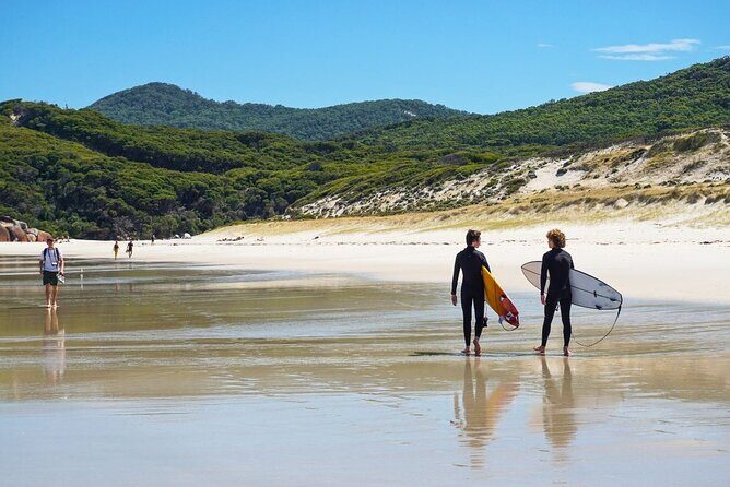 Wilson's Promontory Small Group Eco Tour from Melbourne - Who Will Love This Experience?