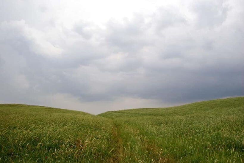 Windows Desktop Theme - Poppy Fields from Tashkent - Who Will Enjoy This Tour?