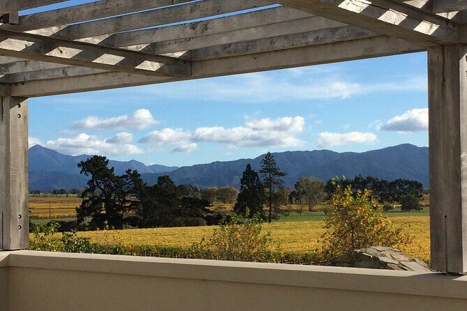 Wine and Gourmet Picnic Experience of Marlborough - The Practicalities and What They Mean for You