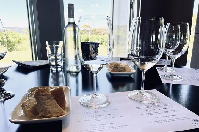 Wine Tasting and Lunch Private Tour in McLaren Vale - The Value and Practicalities
