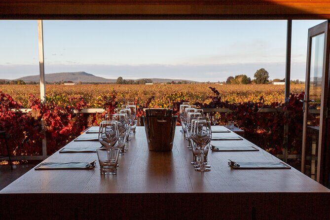 Wine Tasting Experience - Location and Accessibility
