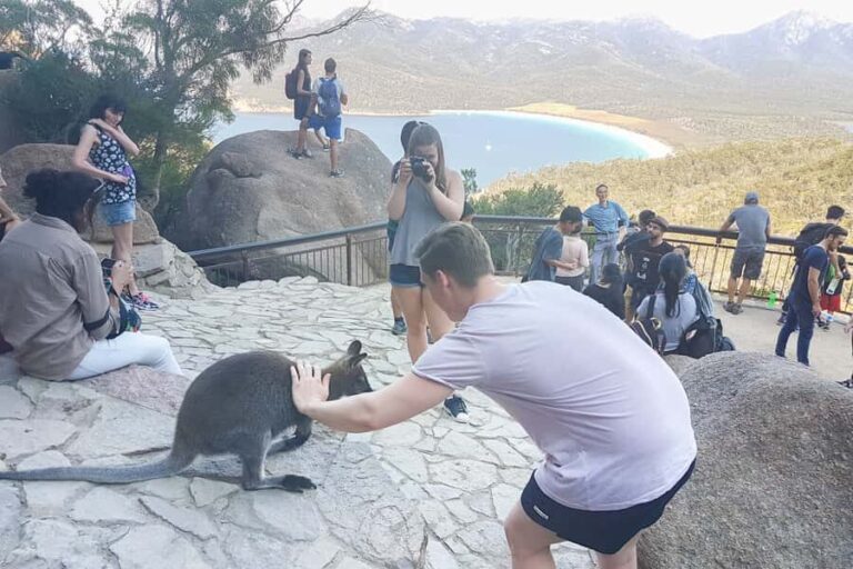 Wineglass Bay & Freycinet National Park Day Trip from Hobart - The Seafood and Wine Experience