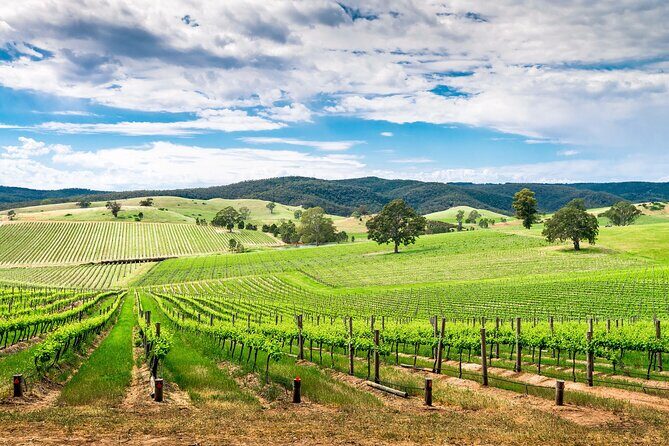 Wines and Whispers:Barossa Valley Private Wine Tour from Adelaide - Historic Winery: Chateau Yaldara