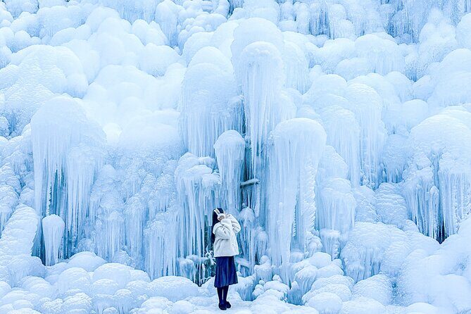 Winter Wonderland Healing Park and Gyeongju/Daegu Tour from Busan - Gyeongju: A Treasure Trove of Heritage and Charm