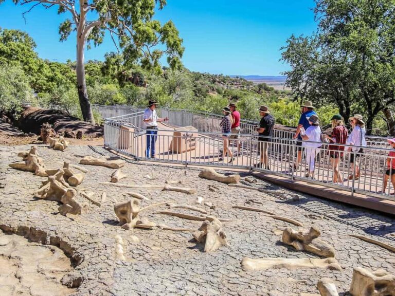 Winton: Age of Dinosaurs Museum Half Day Guided Transfer - The Experience in Context: Value and Authenticity