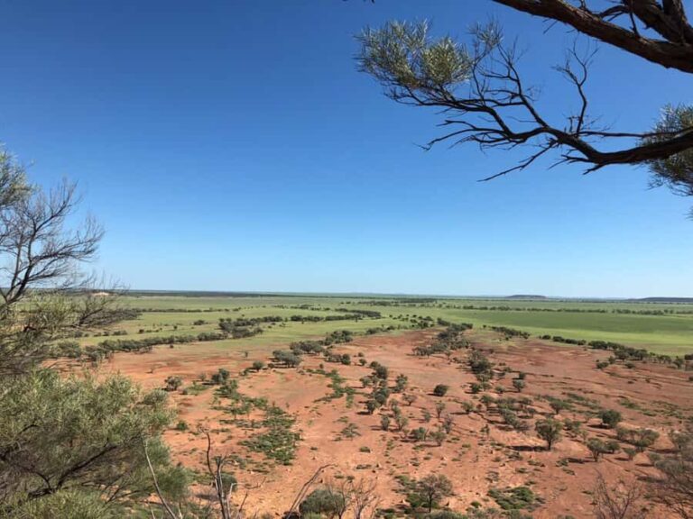 Winton: Bladensburg National Park Half Day Tour - The Outback Landscapes and Ecosystems
