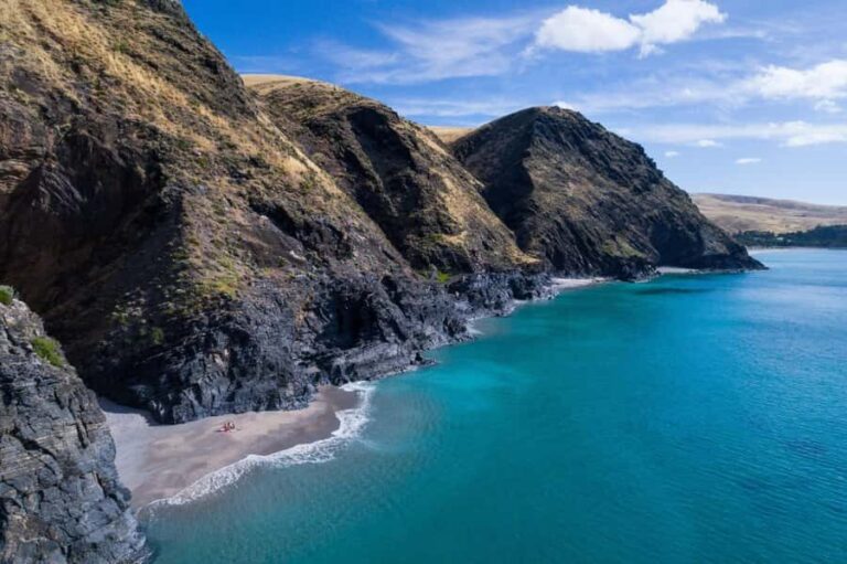 Wirrina Cove: Coastal Sightseeing Boat Tour with Seal Colony - Meeting Point & Practicalities