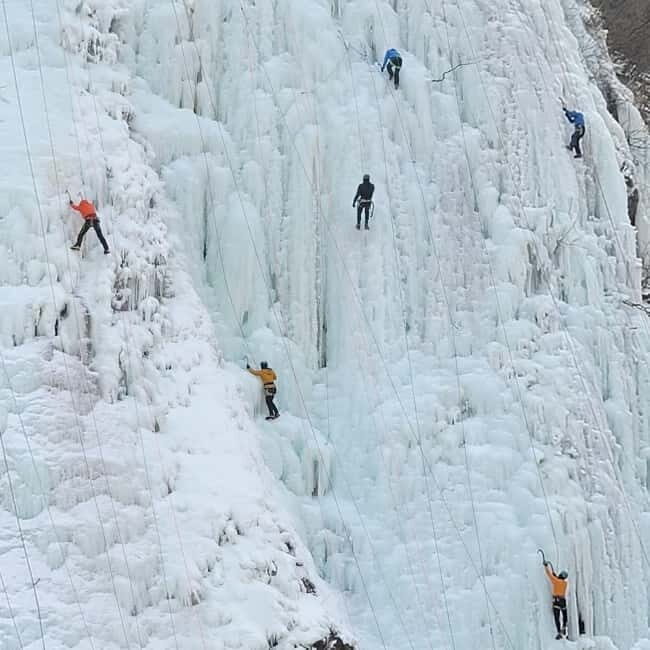 Wondae-ri Birch Forest and In-je Maebawi Icewall Day Tour - The Itinerary in Detail