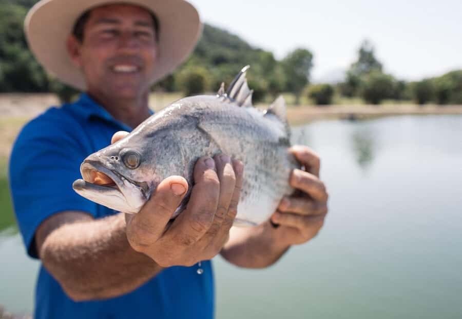 Wonga Beach: Hook-A-Barra Fishing Experience - The Itinerary: What to Expect
