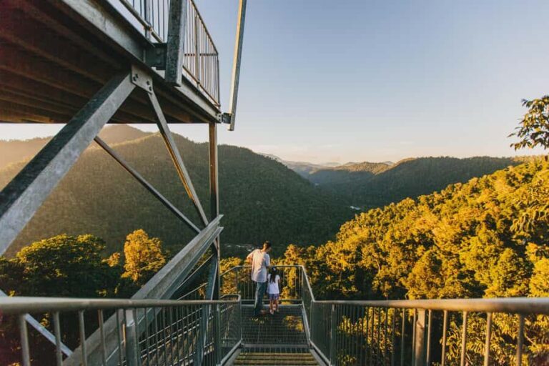 Wooroonooran National Park: Mamu Tropical Skywalk Admission - Who Will Love This Tour?