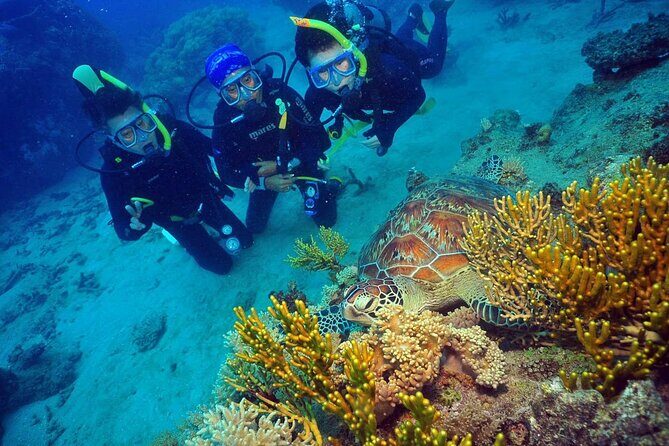 Wunyami Cultural Tour on Green Island's Eco Adventure - The Value of the Wunyami Cultural Tour