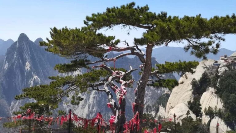 Xian: Hua Mountain Hiking Morning Ticket - Adult - Practical Details: What You Should Know